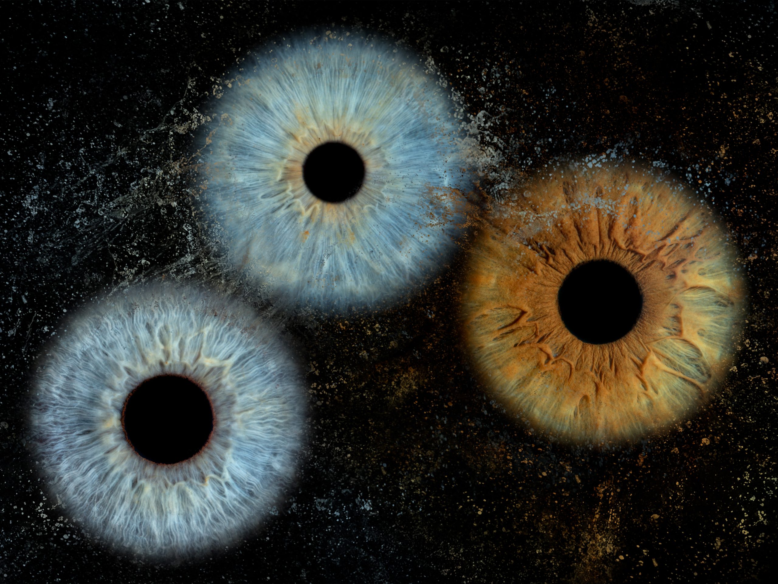 Enmarcado de 3 Iris 30×40 cm - Imagen 3