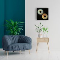 Cuadro Acrílico de 2 Iris 30x30 cm